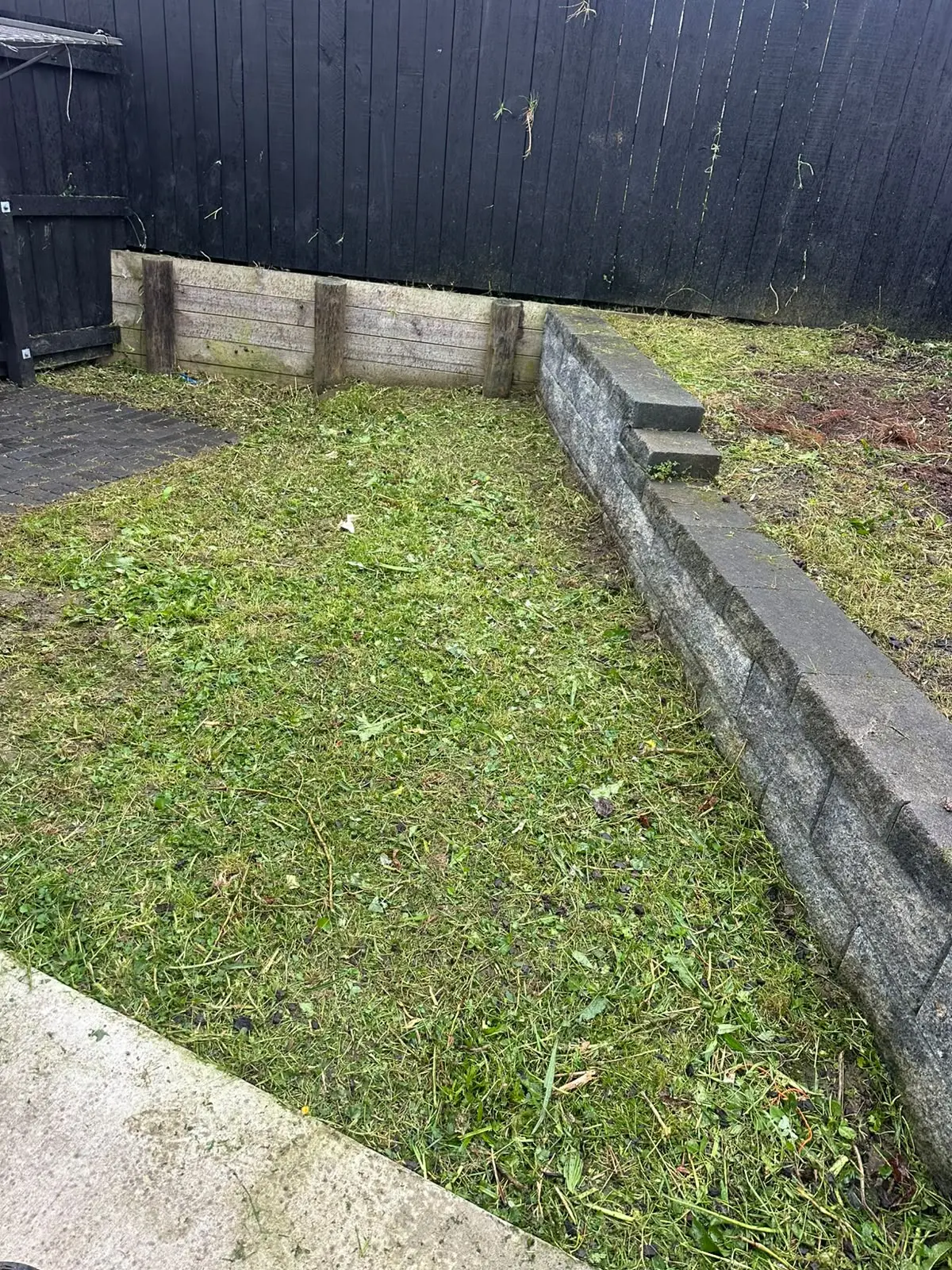 Residential lawn mowing in Auckland garden